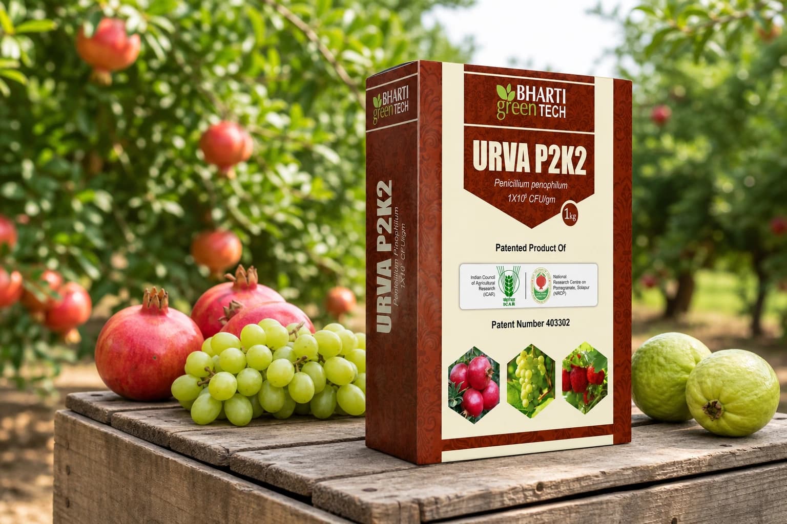 Urva P2K2 product presentation