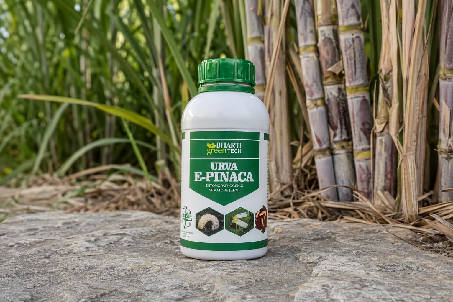 Urva Pinaca product presentation